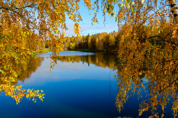 Beautiful sunny autumn landscape with pond in park and trees with yellow autumnal foliage