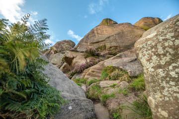 Fototapeta na wymiar Gritstone Rocks in Peak District