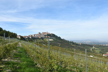 Fototapeta na wymiar Photo of famous for wine town La Morra.