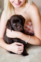 blonde girl plays with a chocolate colored Labrador puppy in a room at home
