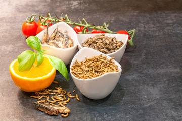 Insect food