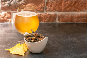 Insect snacks served with beer