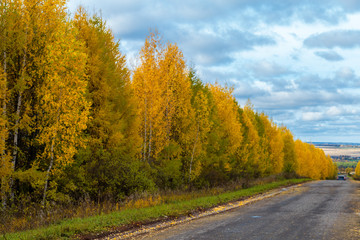 the road in the Russian Outback the road in the Russian Outback Golden autumn, filmed on a cloudy day in Chuvashia