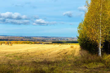 rural landscape in Chuvashia Golden autumn with a view of the city Novocheboksarsk, shot on a cloudy day