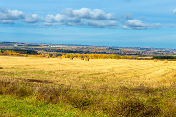 Fototapeta na wymiar rural landscape in Chuvashia Golden autumn with a view of the city Novocheboksarsk, shot on a cloudy day