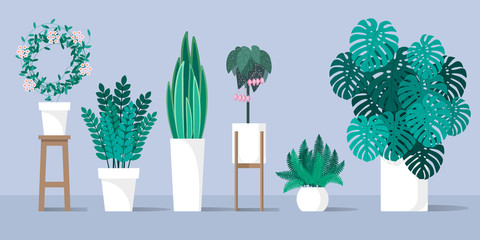 A collection of decorative indoor plants. A set of trendy plants. Flat colorful vector illustration.