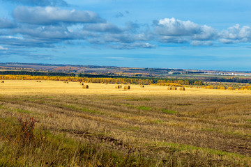 Obraz premium rural landscape in Chuvashia Golden autumn with a view of the city Novocheboksarsk, shot on a cloudy day