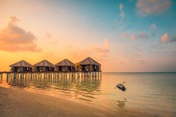 Amazing sunset landscape with bird flying, beautiful island beach. Luxury water villas over sunset...
