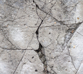 Large crack on concrete through which a metal mesh is visible