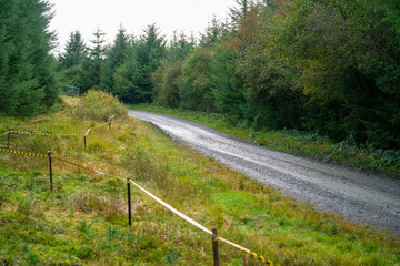 Fototapeta na wymiar Rally stage track through forests