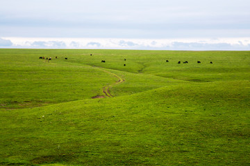 Fototapeta premium Rolling Prairies in Flint Hills Of Kansas