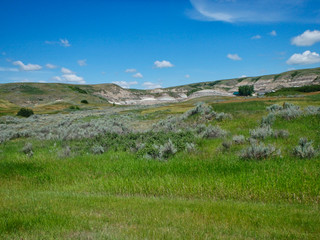 view to newell county in canada