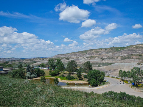 view to newell county in canada