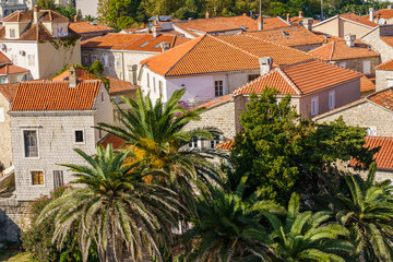 Tiled roofs of ancient buildings and palm trees.