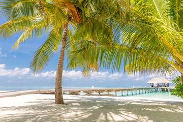 Maldives beach scene, jetty and palm tree leaves, white sand blue sky. Idyllic summer vacation landscape