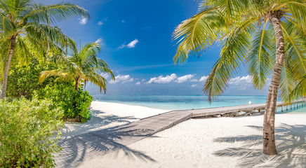 Fototapeta na wymiar Panorama of wide sandy beach on a tropical island in Maldives scenery. Coconut palms and water lodge on Indian Ocean.