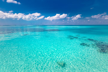 Fototapeta na wymiar Tropical sea under the blue sky. Perfect sky and water of ocean