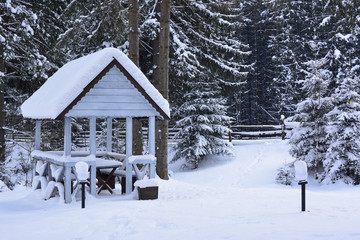 Snowy wooden gazebo and a snowy path leading into the forest.