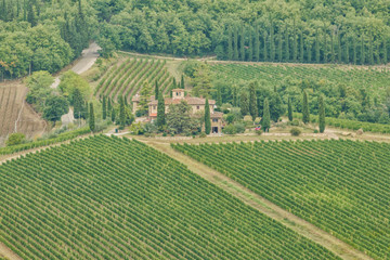 Fototapeta na wymiar Panoramic beautiful view of residential areas Radda in Chianti and vineyards and olive trees in the Chianti region, Tuscany, Italy