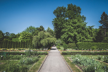 botanical garden in Krakow in Poland