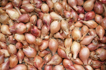 Shallots onions Pell-mell