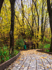 Fototapeta na wymiar Autumn, Park, wooden flooring, bench.