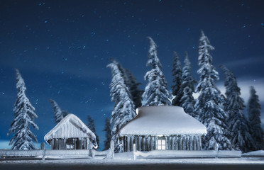 snow covered trees