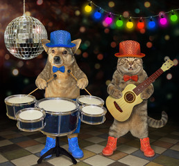 The cat and the dog musicians perform in a nightclub. One plays the acoustic guitar and the second...
