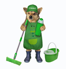 The dog janitor in a green apron, cap and blue rubber boots is holding a cleaning tools. White...