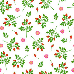 Seamless pattern with wild rose flowers, rosehip and branches