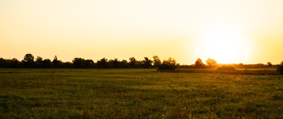 idylic summer field with grass panorama, nature landscape during sunset