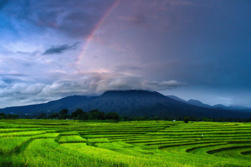 rainbow morning at paddy fields with mountain range, bengkulu indonesia