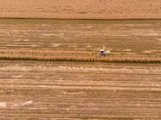 Fototapeta na wymiar Machines harvesting corn in the field. Harvesting corn in autumn. Aerial drone shot.