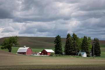 Farm with a red barn surrounded by trees nestled in the rolling hills of the Palouse region of Washington state