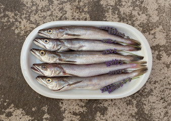 Fresh fish cleaned and prepared for cooking with sprigs of lavender on a white plate on a textured stone background. Freshly caught hake