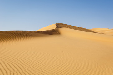 Fototapeta na wymiar Abstract dune ridge in the Rub Al Khali Desert, Abu Dhabi