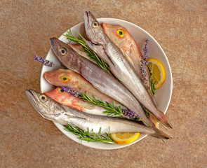 Fresh fish cleaned and prepared for cooking with sprigs of lavender, rosemary and lemon slices on a white plate on a textured stone background. Freshly caught hake and gurnard