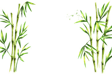 Fototapeta na wymiar Green bamboo background, stems and leaves, Asian rainforest. Watercolor hand drawn isolated illustration