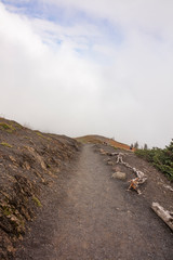 Fototapeta premium People hiking along Hurricane Ridge trails