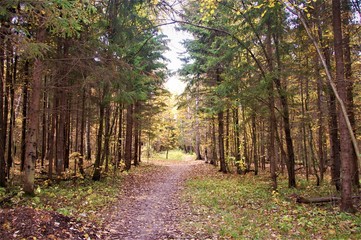 calm autumn landscape natural colors