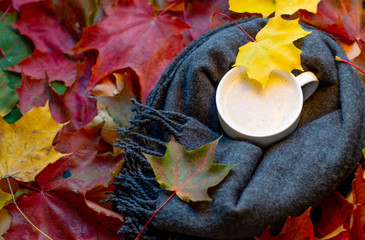 white cup of coffee wrapped in a warm scarf on background autumn leaves