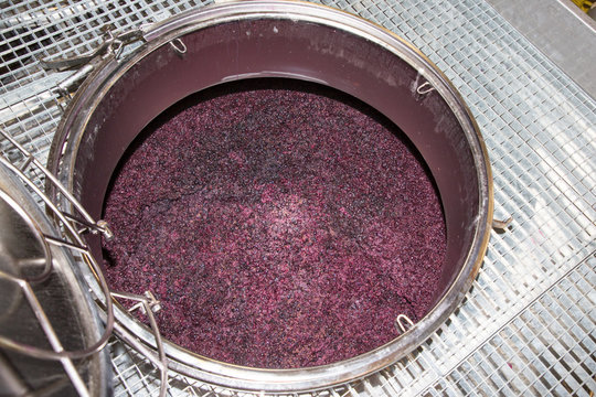 winemaking vats for fermenting grapes and producing wine at the winery