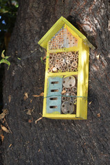 Hôtel à insectes dans mon jardin
