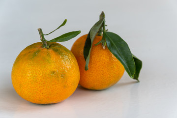 Frische Mandarinen isoliert auf weiss