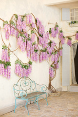 The old house, embroidered with flowering wisteria and a bench nearby