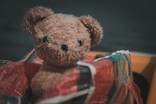 Teddyb&auml;r schaut aus dem Gep&auml;ck