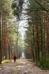 spacer i ćwiczenia w lesie nordic walking © rpetryk