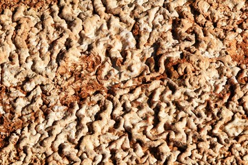 Mineral sediments in a dry lake of an old abandoned mine