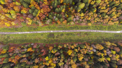 Autumn