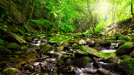 Picturesque mountain stream in a deep spring forest - Magurski National Park in Carpathian Mountain Range.